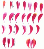 Brush stroke comma